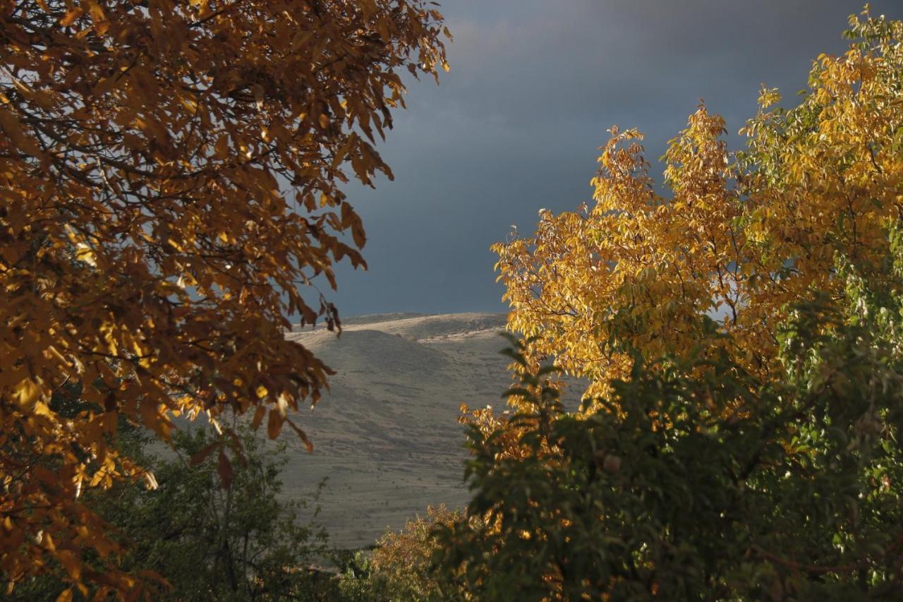 Zove Rural Cottage With Garden Views K'arashamb Bagian luar foto
